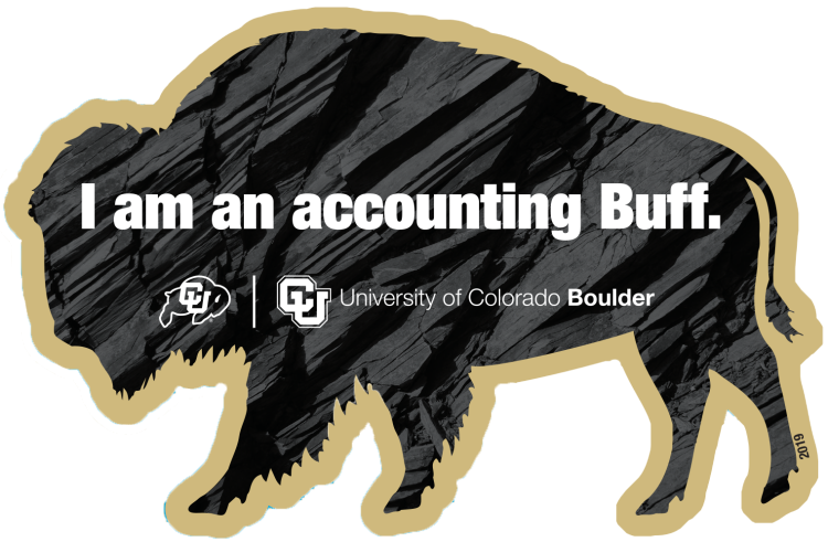 I am an accounting buff