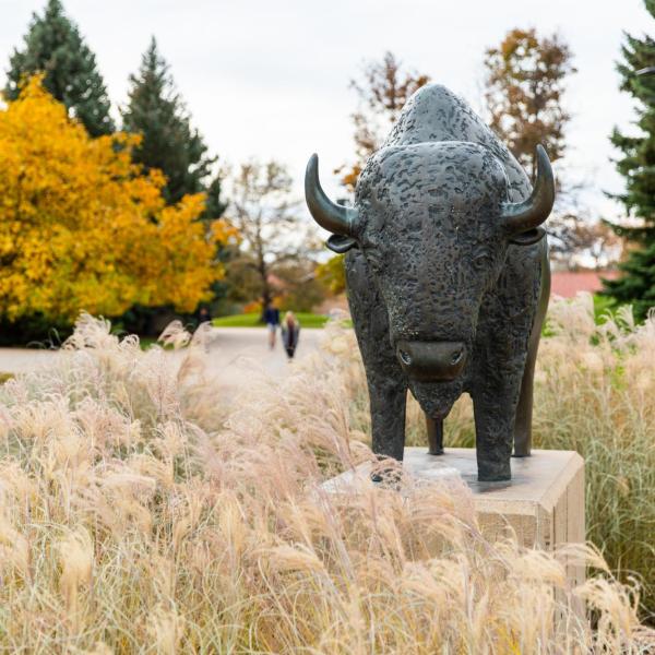Ralphie statue in the fall