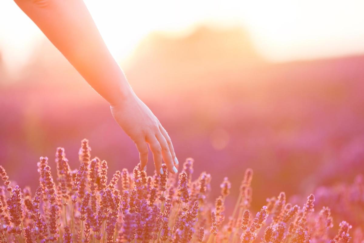 Photo of a person walking on a peaceful evening.