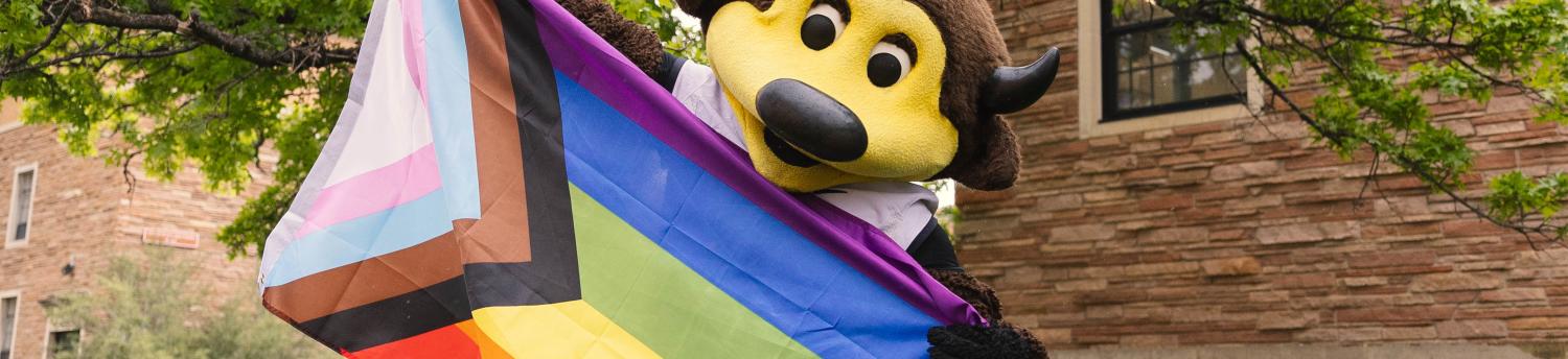 Chip with a Pride flag