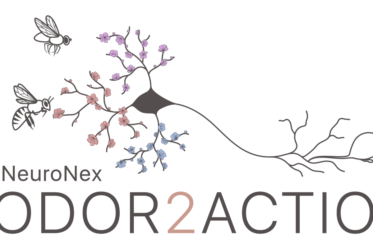 Stylized neuron with project name below it