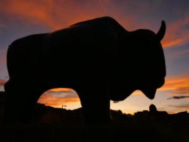 Buffalo statue in shadow at sunset