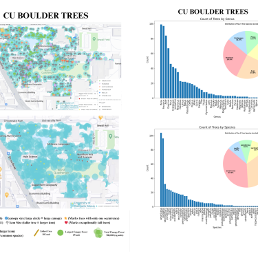 Data Visualization