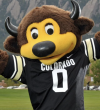 mascot of Chip the Buffalo, arms out in front of the Flat Irons mountains.