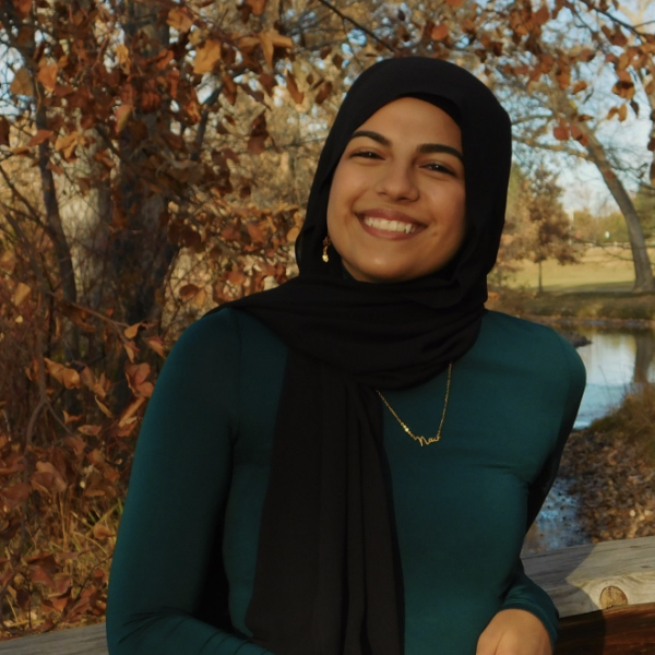 Nour Faleh