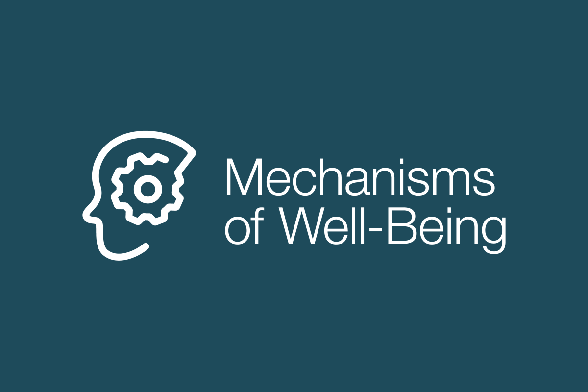Mechanisms_NewCard