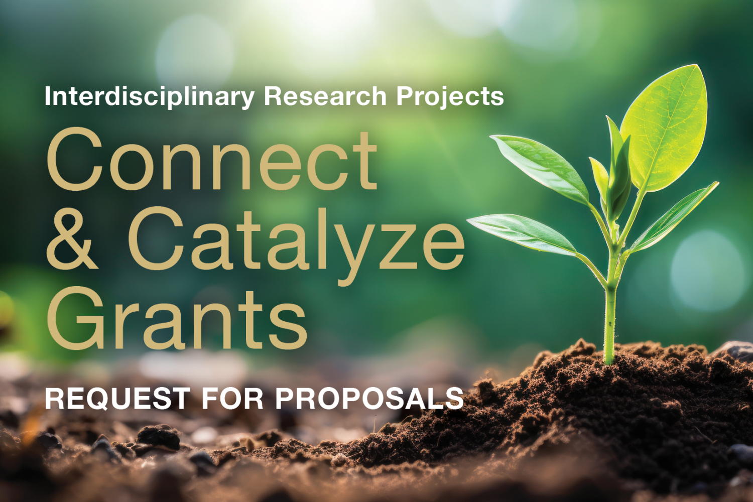 Connect & Catalyze Grants_v2