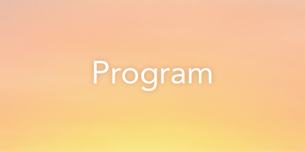 program