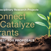 Connect & Catalyze Grants_v2