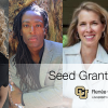 seed grant