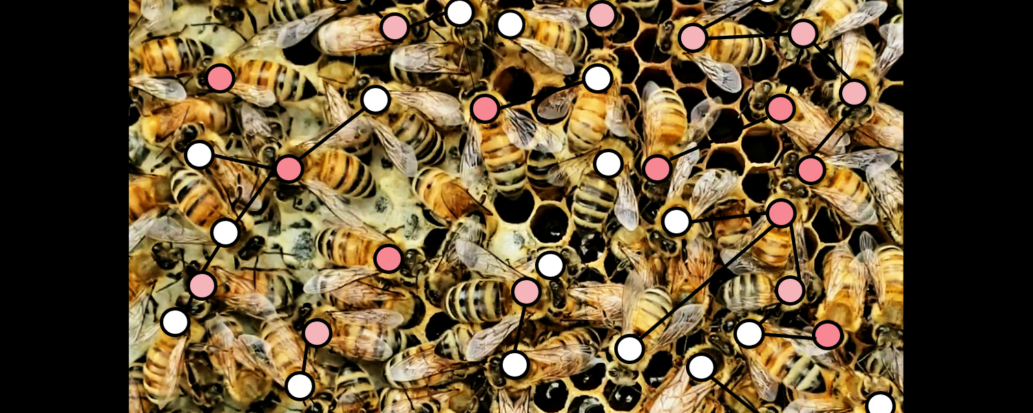 It takes a hive: community volunteers in honeybee research | Computer ...