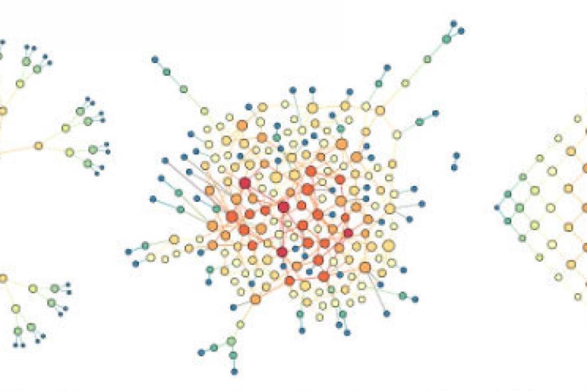 Complex model networks generated from a Cayley tree graph, full random Erdős-Rényi graph, and square lattice graph