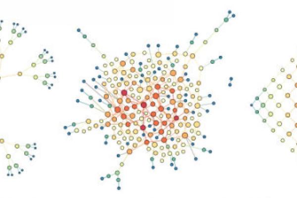 Complex model networks generated from a Cayley tree graph, full random Erdős-Rényi graph, and square lattice graph 