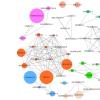 Image shows Co-author network of CT-related articles in Scopus database, created by Mohammed Saqr.