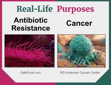 Real life applications for drug discovery