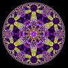 VanDusen Circle Limit Design example