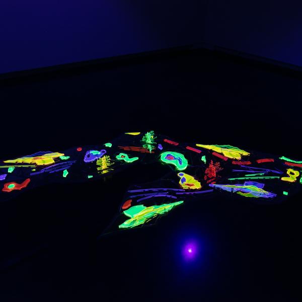 Spring 2021 MFA Group One: Shelby McAuliffe