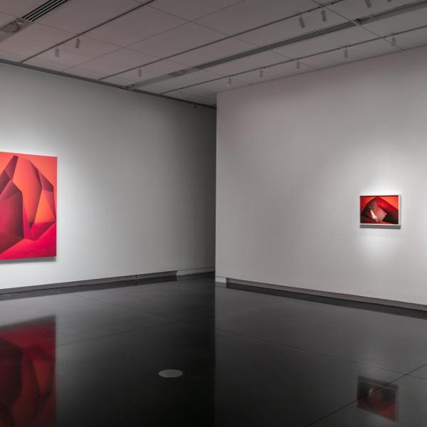 Installation view of exhibition.