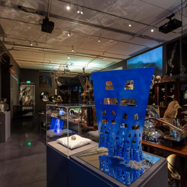 An installation shot of the north wall looking east