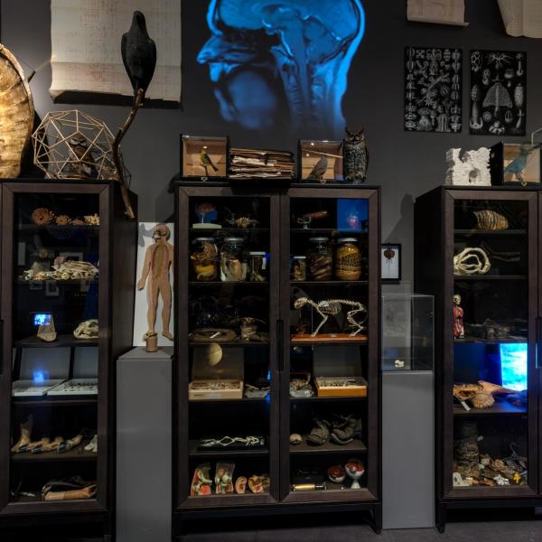 An installation shot of the central section of the south wall