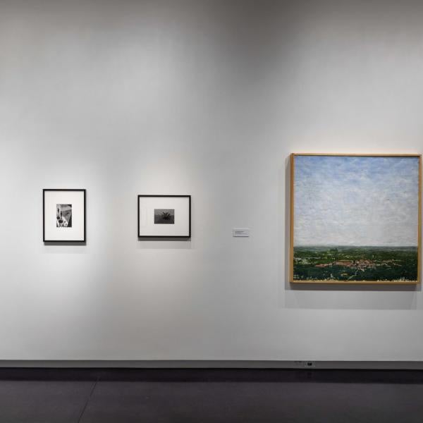 The eastern wall of the northern section of the gallery
