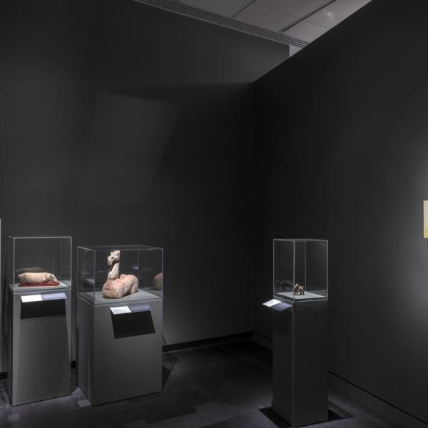 exhibition installation view of the egg museum