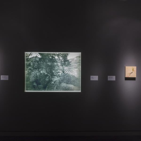 exhibition installation view of the egg museum