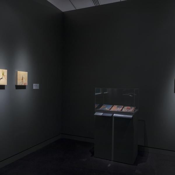 exhibition installation view of the egg museum