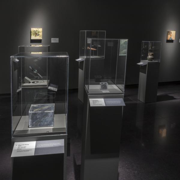 exhibition installation view of the egg museum