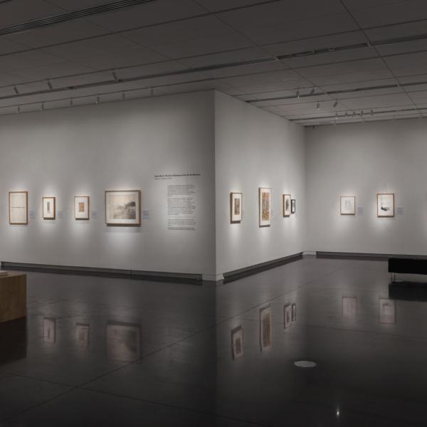 exhibition installation view