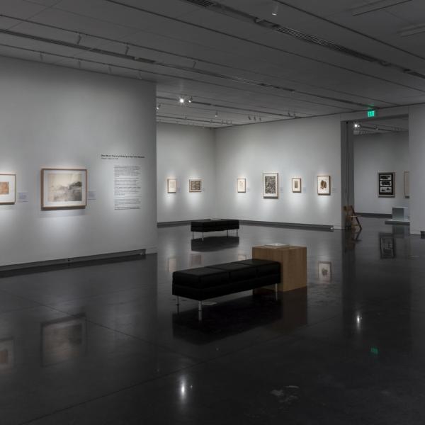 exhibition installation view