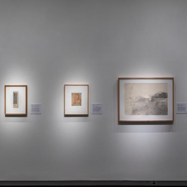 exhibition installation view