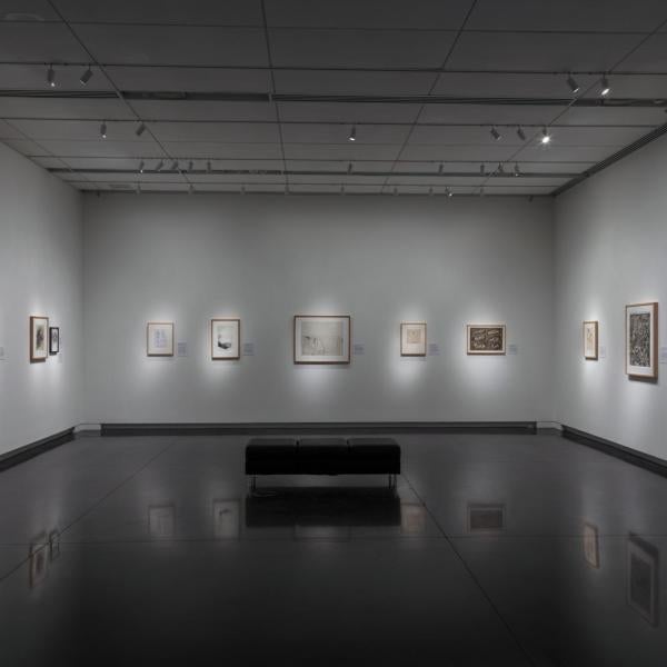 exhibition installation view