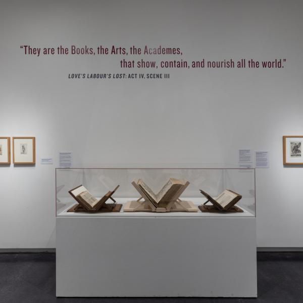 Installation view of historic volumes