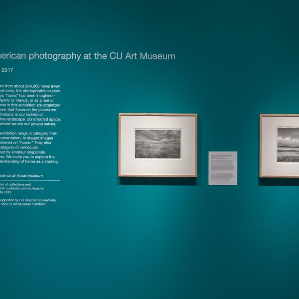 the exhibition introductory text