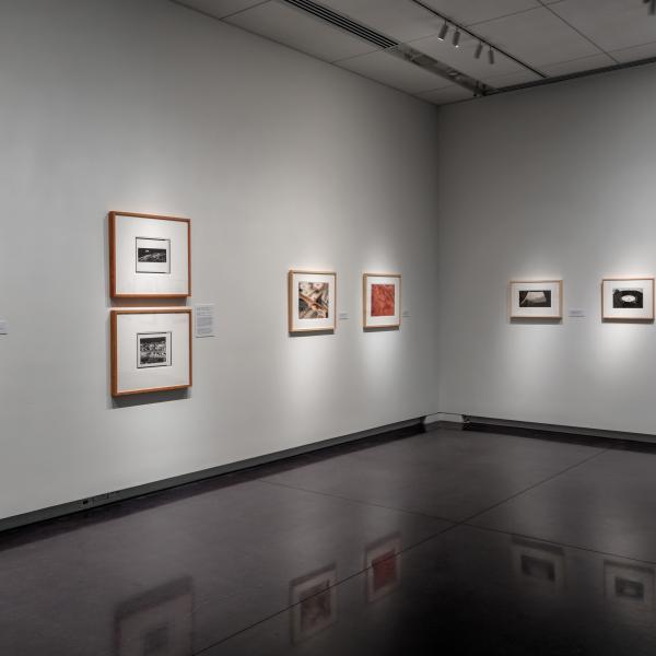 The first set of images in the exhibition