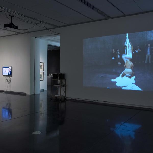 Installation view of phase one of the installation