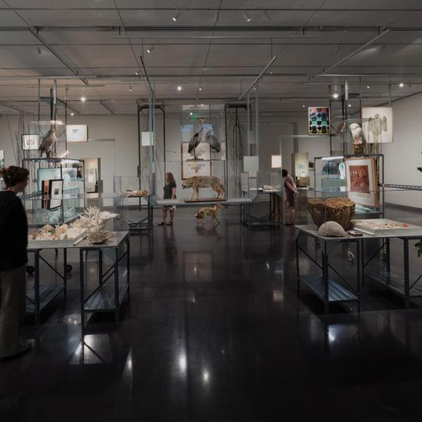 Installation view of phase two of the installation
