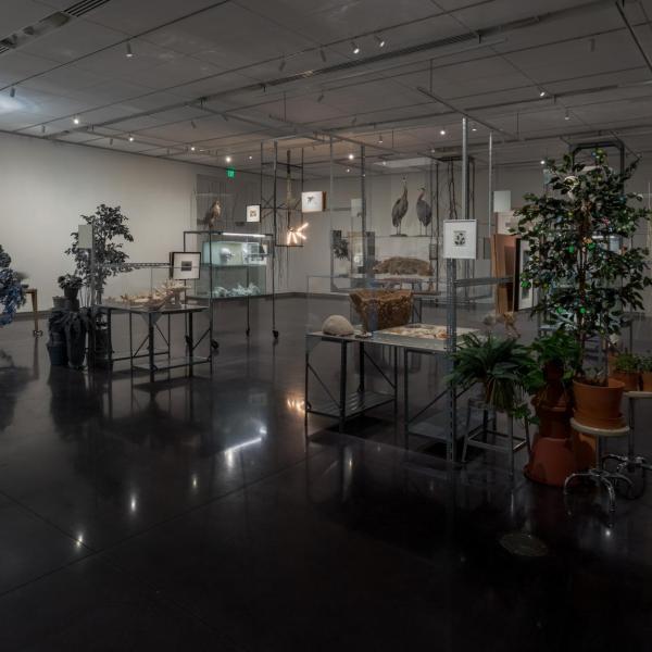 Installation view of phase two of the installation