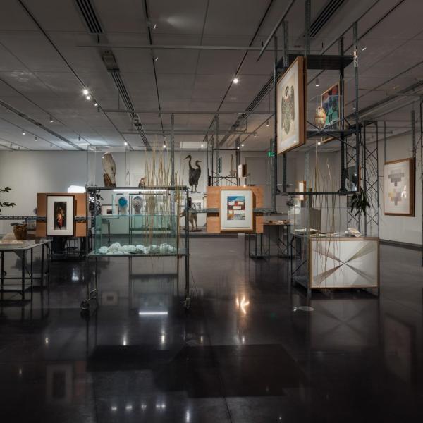 Installation view of phase two of the installation