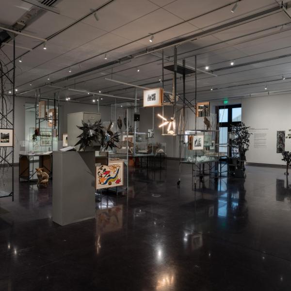 Installation view of phase two of the installation