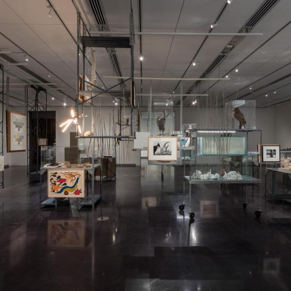 Installation view of phase two of the installation