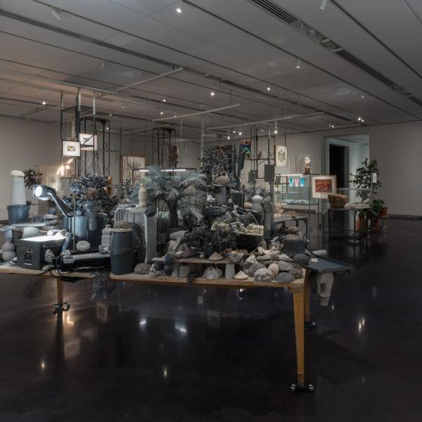 Installation view of phase two of the installation