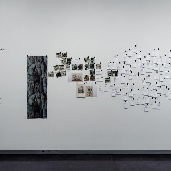 Installation view of phase two of the installation