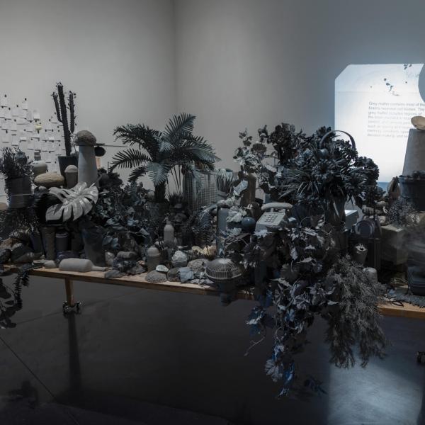 Installation view of phase two of the installation