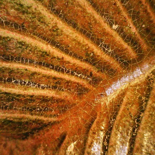 highly magnified detail of the glazing and carving of a ceramic object