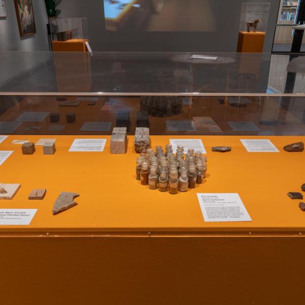 Installation image of exhibition