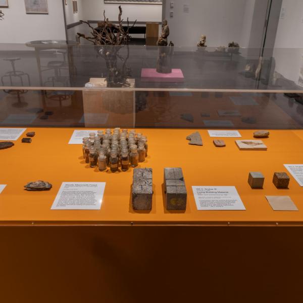 Installation image of exhibition