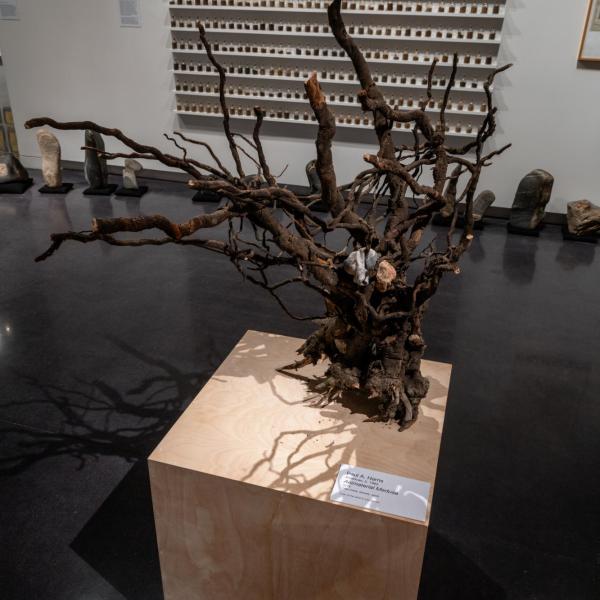Installation image of exhibition