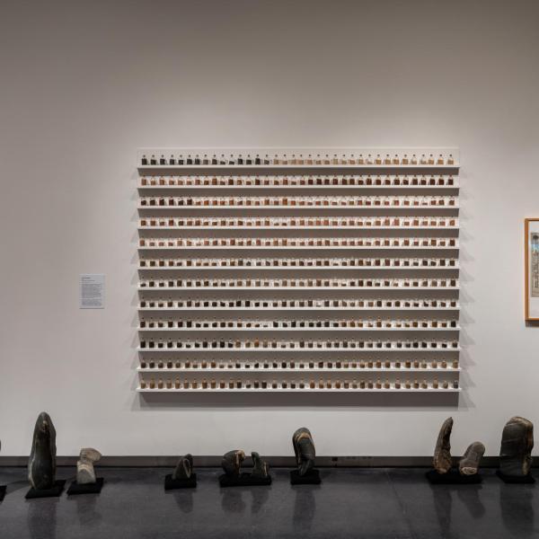 Installation image of exhibition